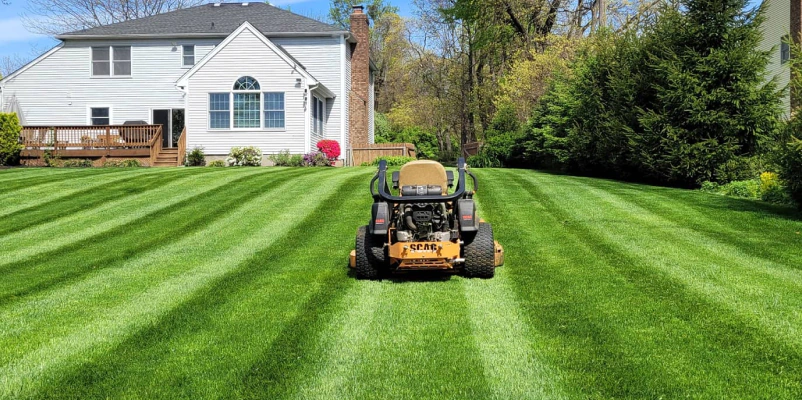lawn maintenance in a residential house